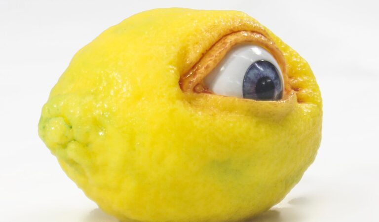 The All Seeing Lemon is as unnerving to hold as it is to see, very squishy and slightly sticky it can bring you only joy :-P