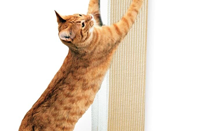 A cat scratching post is essential for satisfying your cat’s natural scratching instincts, promoting healthy claws, and protecting your furniture from damage