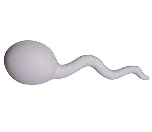 A sperm stress toy is a funny and therapeutic gift, perfect for squeezing away tension and bringing a smile during those depressed days